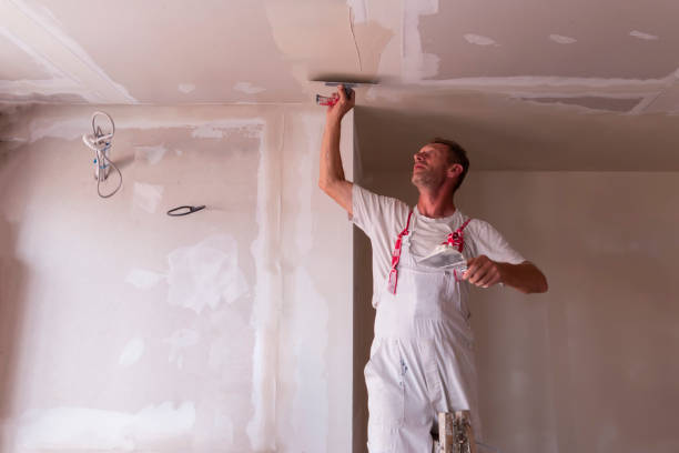  Chebanse, IL Drywall and Painting Service Pros